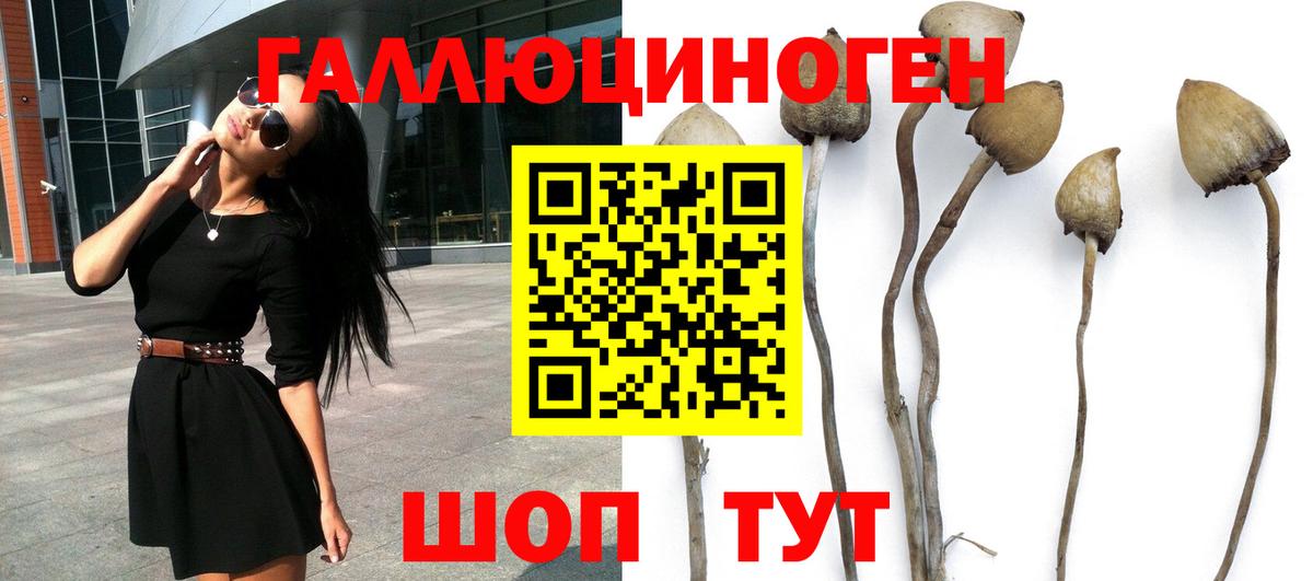 Железноводск  Галлюциногенные грибы Cubensis  Псилоцибиновые грибы Cubensis  Вход с VPN 